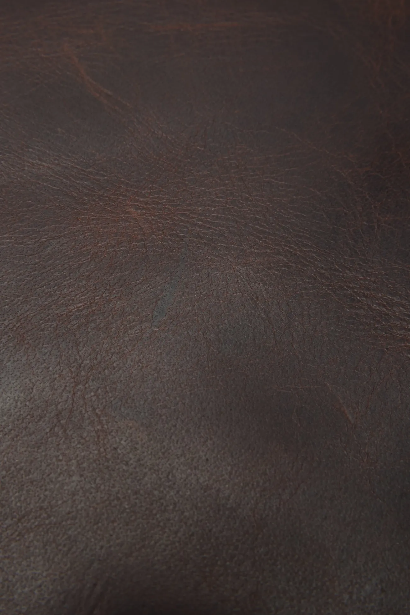Logan Backpack^Frye Discount