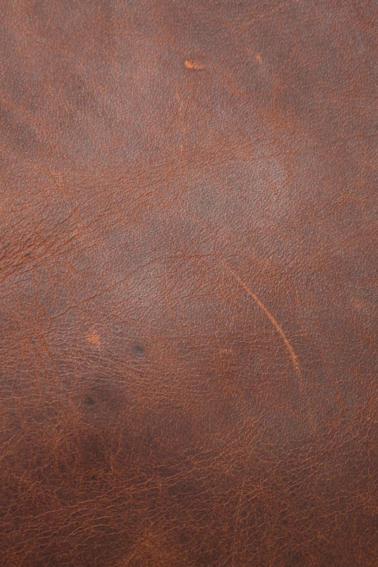 Logan Backpack^Frye Discount