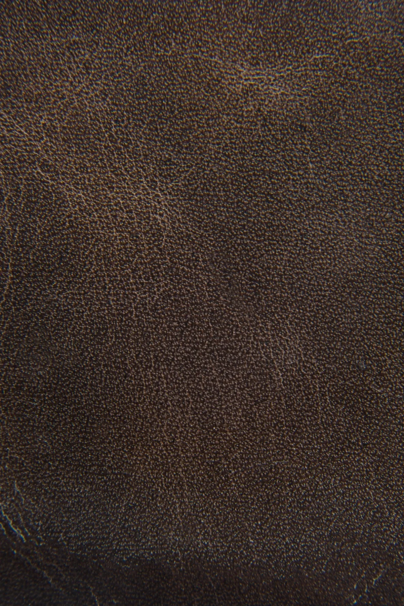 Logan Billfold^Frye Sale