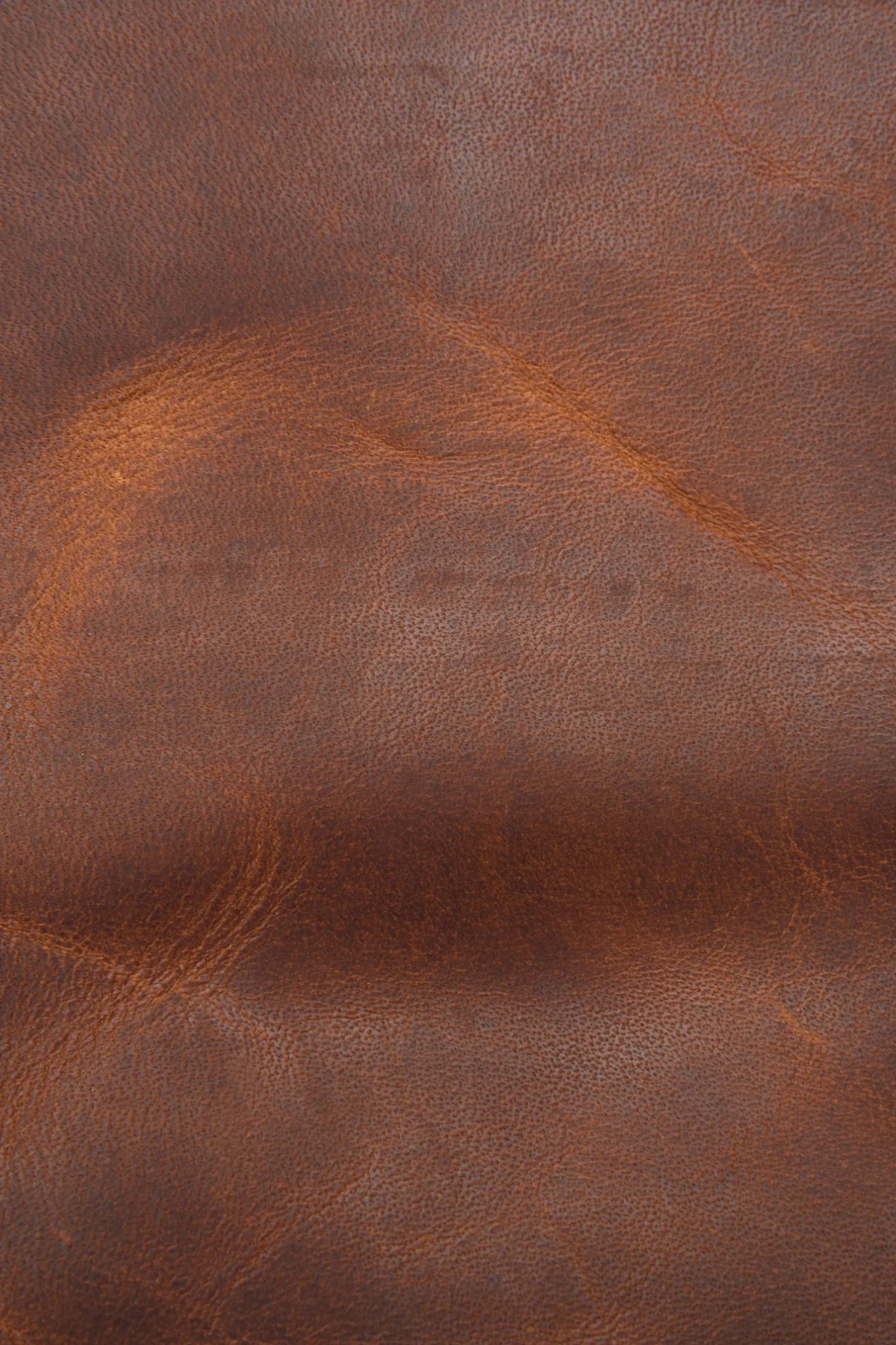 Logan Messenger^Frye Online