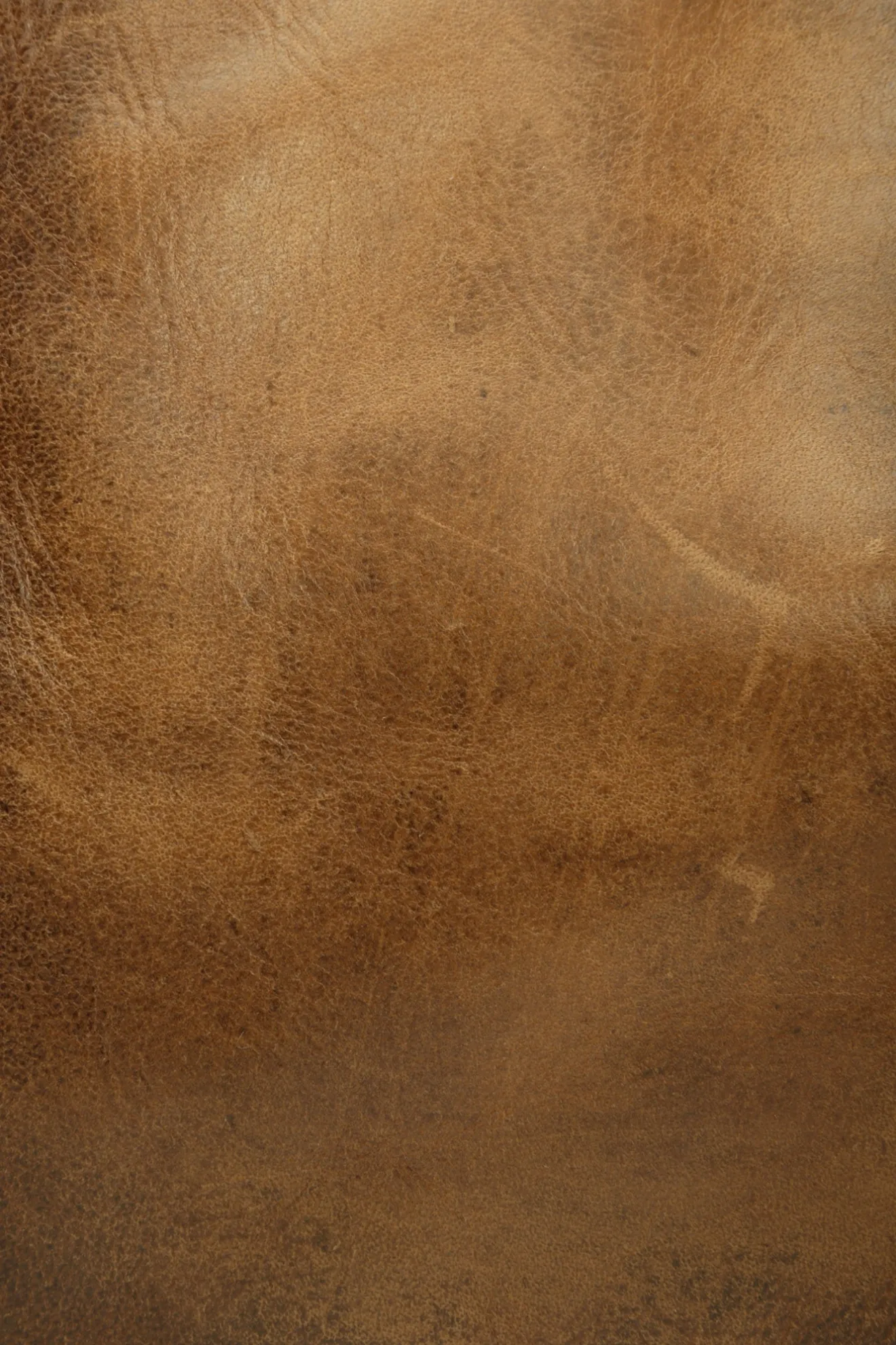 Melissa Tote^Frye Outlet